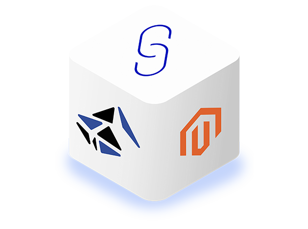 Magento 2 Data Sync